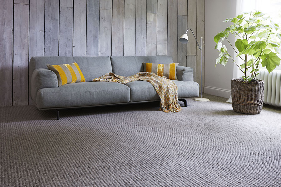 Jacaranda Carpets